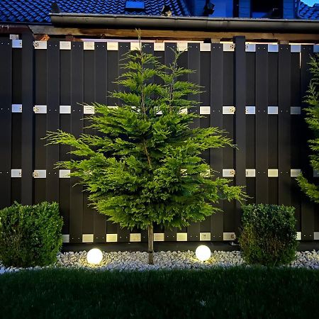 Gemuetliche Wohnung In Leverkusen Dış mekan fotoğraf